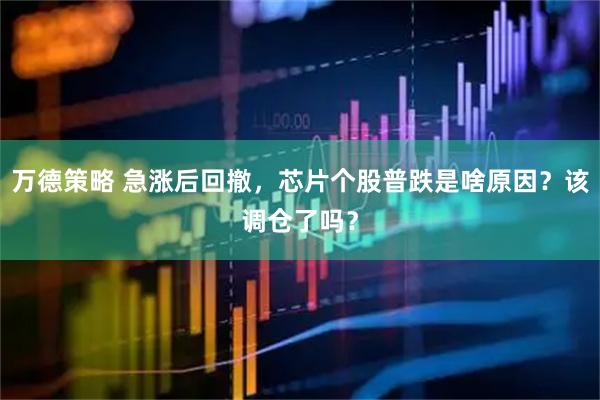 万德策略 急涨后回撤，芯片个股普跌是啥原因？该调仓了吗？